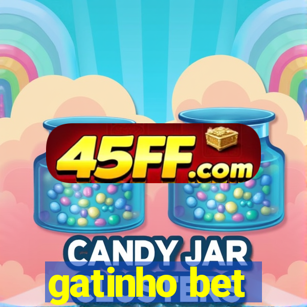 gatinho bet